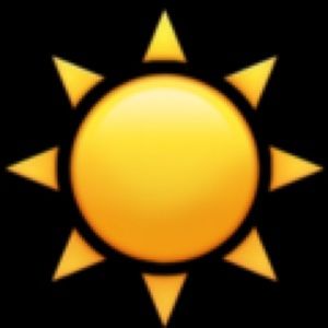 Allison Field ☀️